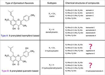 fchem-10-1014110-g001.jpg