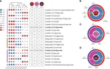 Frontiers | Transcriptome and chemical analyses revealed the