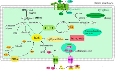 ya様 YAMAZEN YKAR-ZX151(W) [ホワイト] 価格比較 - 価格.com