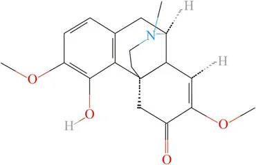 Frontiers | Sinomenine regulates immune cell subsets
