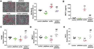 fcvm-10-1046495-g001.jpg