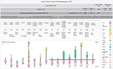 Frontiers | Hereditable variants of classical protein Frontiers | Hereditable variants of classical protein