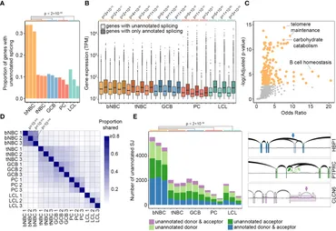 専用ページ❸ Strategies and Prospects for the Design of Inorganic Ceramic