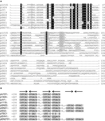 Nitric oxide controls shoot meristem activity via regulation