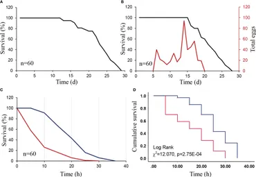 _S専用ページ Boosting the Potassium-Ion Storage Performance in Soft