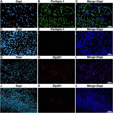 fgene-13-1082654-g001.jpg