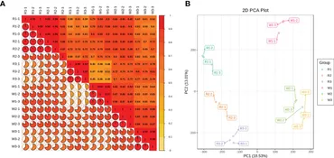Frontiers | Reproductive Isolation Among Three Nocturnal