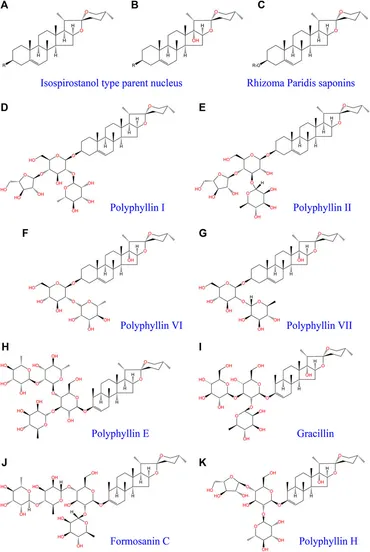B さん、 Design, synthesis and biological evaluation of