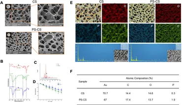 Frontiers | Phosphoserine-loaded chitosan membranes promote