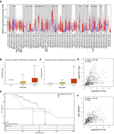 Frontiers | Angiopoietin-2 expression and its relationship