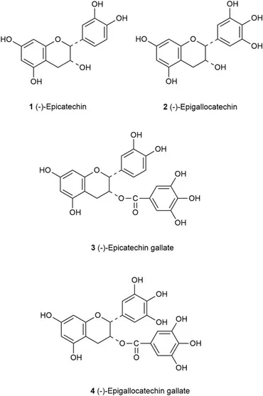 fphar-14-1144878-g002.jpg