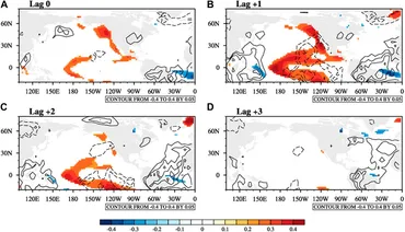 Logic-Measurer: A Multienzyme-Assisted Ultrasensitive