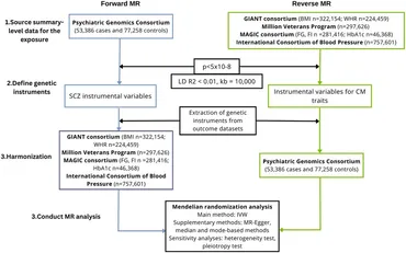 Frontiers | Schizophrenia and cardiometabolic abnormalities