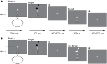 DC トライジール Frontiers | Aging effect of cross-modal interactions during