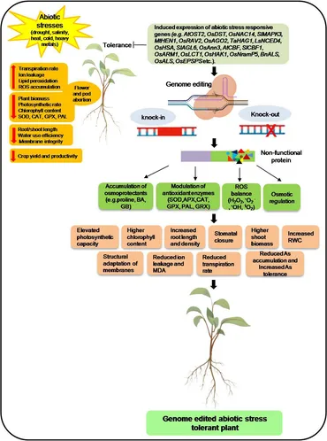 DC トライジール Bioactive Nanomaterials: Comprehensive Monitoring and