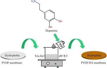fchem-11-1162348-g001.jpg fchem-11-1162348-g001.jpg