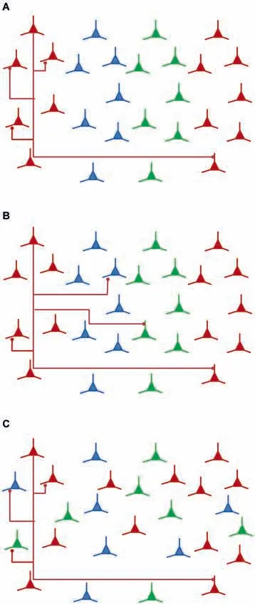 Frontiers | Visual cortical areas of the mouse: comparison