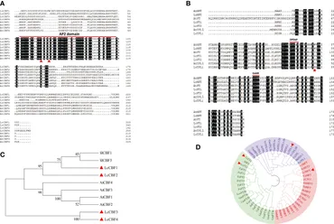 9/tk_common - Trails in the Database