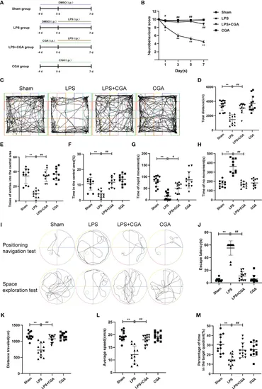 Frontiers | Effect and mechanism of chlorogenic acid on