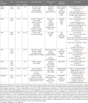 Frontiers | Serum amyloid A and metabolic disease: evidence