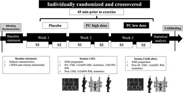 健康・医学 Effective Functional Progressions Functional progressions for sport rehabilitation : Tippett
