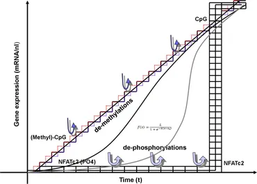 fncel-17-1220030-g003.jpg