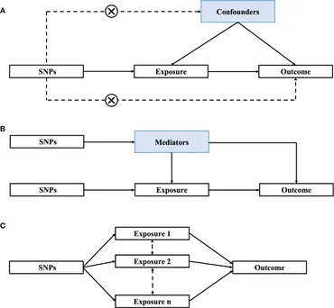 新品　ヤングトランスフォーメーション Frontiers | Molecular and cellular regulation of thermogenic fat
