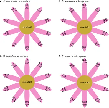 Frontiers | Effects of nitrogen stress and nitrogen form
