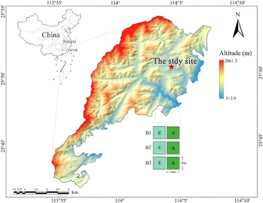 Frontiers | Bamboo expansion promotes radial growth of