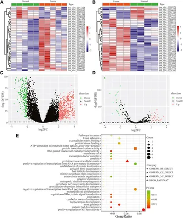 Exosomal circWDR62 promotes temozolomide resistance and