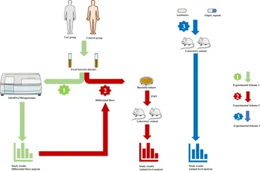 Frontiers | PitNETs and the gut microbiota: potential