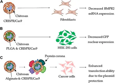 fchem-11-1259435-g003.jpg