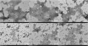 fchem-11-1260533-g004.jpg