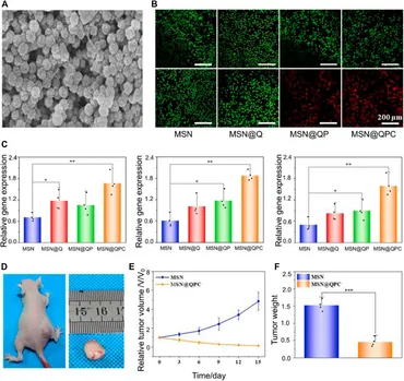 Y358/m様 Longitudinal Ultrasonic Vibration-Assisted Planing Method for