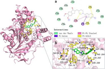 Frontiers | Palladium-catalyzed synthesis and anti-AD
