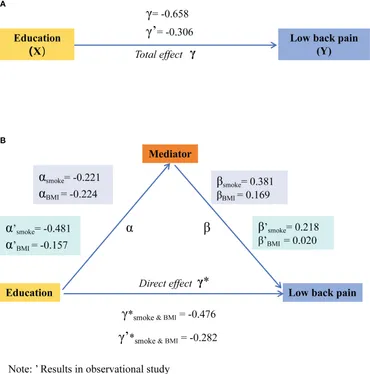 Frontiers | Smoking and BMI mediate the causal effect of