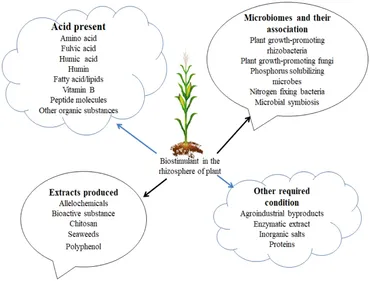 The Chemical Biology of Plant Biostimulants | Wiley