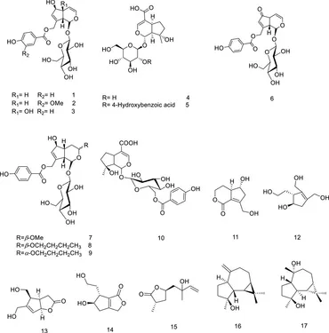 Frontiers | A comprehensive review of ethnomedicinal