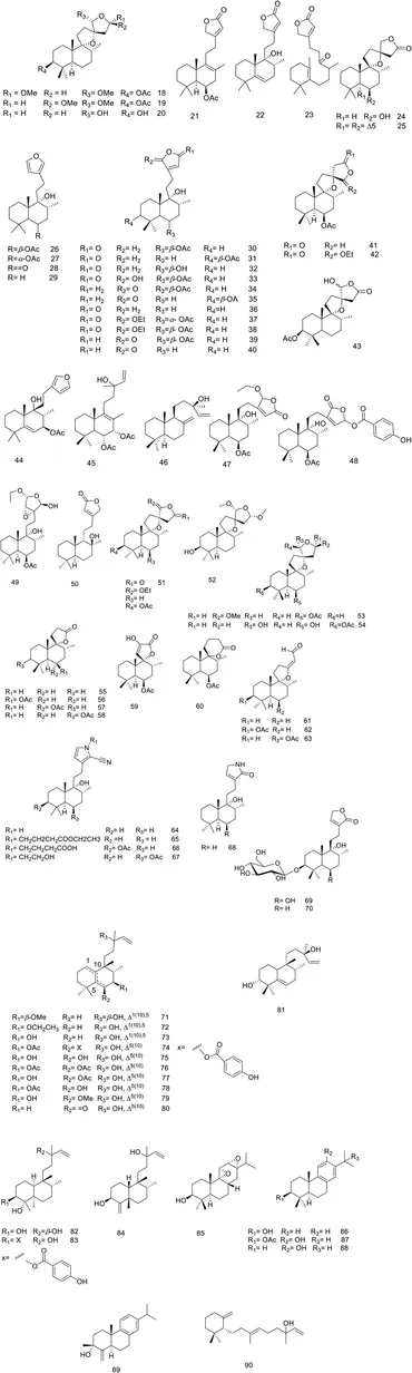 Frontiers | A comprehensive review of ethnomedicinal