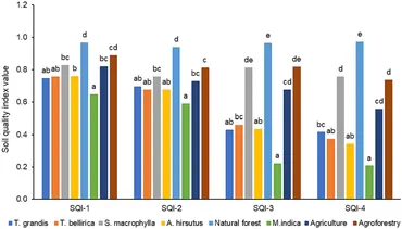RETEN Frontiers | Comparative analysis of soil quality indexing ... Frontiers | Comparative analysis of soil quality indexing ... RETEN Frontiers | Comparative analysis of soil quality indexing ... Frontiers | Comparative analysis of soil quality indexing ...