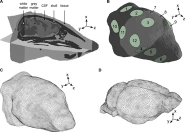 Frontiers | Simulation of a synchronized methodology for MR-based