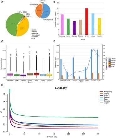 Frontiers | Comprehensive whole-genome resequencing unveils