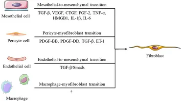 専用ページ1 Effect of interface structure on advanced bonding between