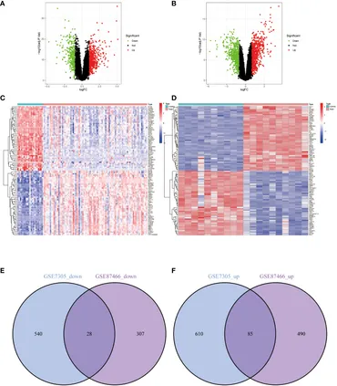 Frontiers | Potential shared pathogenic mechanisms between