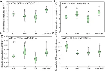 Frontiers | The coexistence of arbuscular mycorrhizal fungi Frontiers | The coexistence of arbuscular mycorrhizal fungi
