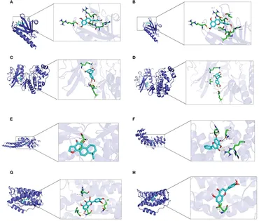 Frontiers | Material basis and molecular mechanisms of