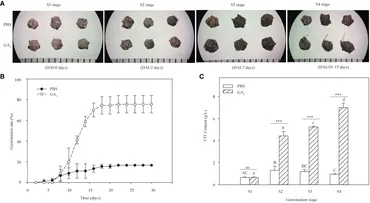 Frontiers | Comparative transcriptome analysis reveals the Frontiers | Comparative transcriptome analysis reveals the