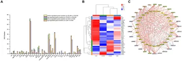 Frontiers | Transcriptome analysis of Gossypium reveals the