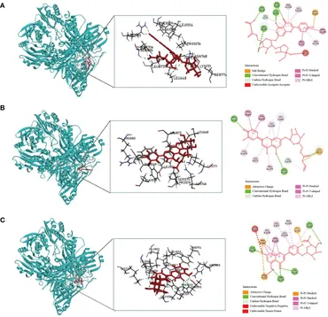 おまとめ3つ Frontiers | Fangyukangsuan granules ameliorate hyperuricemia