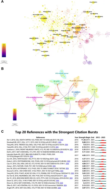Frontiers | Targeting ferroptosis unveils a new era for